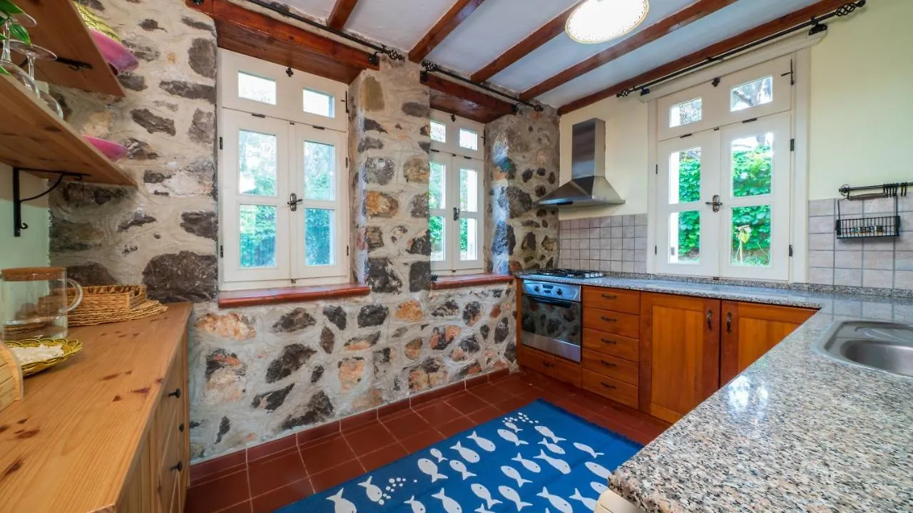 Aurora Holiday Villa In Oeluedeniz Fethiye